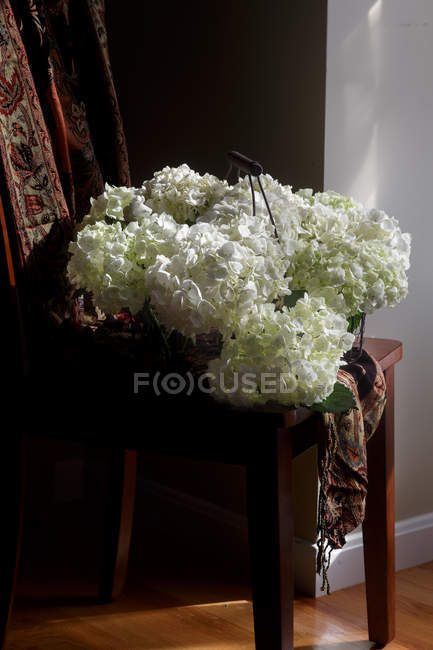 Flores de hortênsia de corte fresco em cesta de arame na cadeira de madeira — Fotografia de Stock