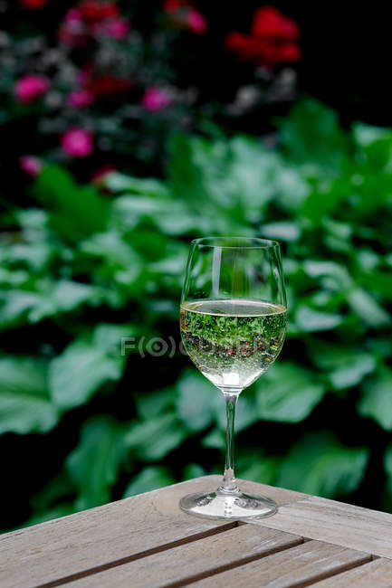 Verre de vin blanc sur table de jardin en bois — Photo de stock