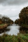 Paysage du parc avec pont sur le canal en plein jour lunaire — Photo de stock