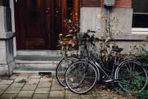 Bicycles parked by the building entrance at the street of Amsterdam, Netherlands — Stock Photo