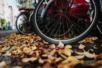 Vista de cerca de los detalles de las bicicletas vintage y las hojas otoñales amarillas en el suelo - foto de stock