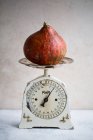 Ripe fig on weigh-scales — Stock Photo