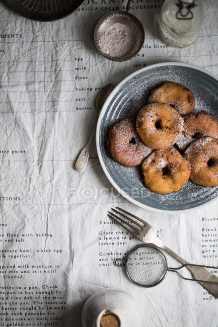 Donuts de maçã com açúcar de confeiteiro de canela — Fotografia de Stock