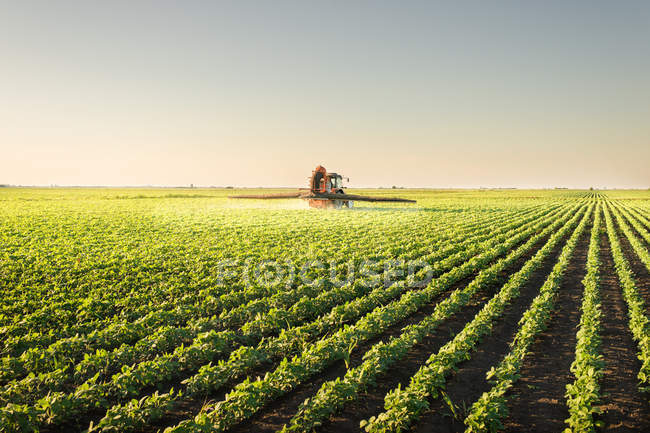 Trator pulverização de pesticidas — Fotografia de Stock