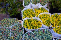 Красочные букеты на Bloemenmarkt — стоковое фото