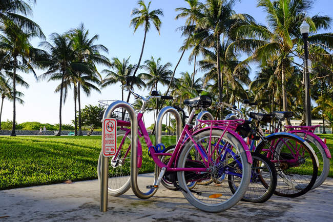 Bicycles at Lummus Park — Stock Photo