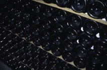 Filas de botellas de vino apiladas en bodega - foto de stock