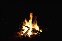 Bright campfire flame burning at night — Stock Photo