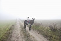 Девушка верхом на осле по грунтовой дороге посреди поля в туманную погоду — стоковое фото