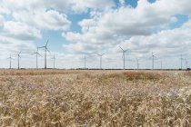 Фермі проти вітрових турбін вирощування сільськогосподарських культур — стокове фото