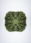 Composition de morceaux miroirs de brocoli — Photo de stock
