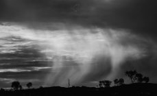 Vista panoramica delle nuvole di tempesta sulle sagome degli alberi — Foto stock