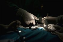 Cirujano de cosechas manos operando paciente en el hospital - foto de stock