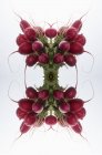 Composition of mirrored bunches of radishes on white — Stock Photo