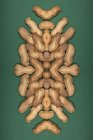 Композитний дзеркальний домовленості арахісу на зеленому тлі — стокове фото