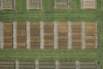 Aerial view of crops in agricultural fields — Stock Photo