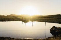 Живописный вид пруда в поле против неба во время восхода солнца — стоковое фото