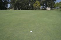 Balle de golf sur vide putting green — Photo de stock