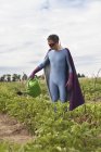 Зрілі людина в костюмі супергероя поливу рослин, стоячи на городі — стокове фото