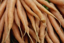 Fotograma completo de pila de zanahorias - foto de stock