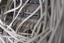 Filas de cables conectados al servidor de red - foto de stock
