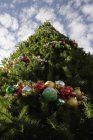Vista inferiore del grande albero di Natale decorato — Foto stock