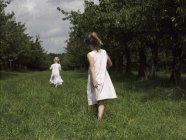 Vue arrière de deux filles marchant à travers le champ — Photo de stock