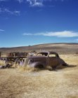 Кинутих оселиться у поле, боді історичні State Park, штат Каліфорнія, США — стокове фото