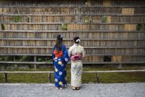Vista trasera de las mujeres que usan kimonos leyendo bloques de oración - foto de stock