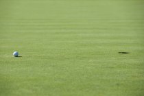 Balle de golf sur ensoleillé putting green — Photo de stock