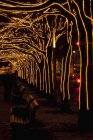 Árboles decorados con luces en el callejón del parque de la ciudad por la noche - foto de stock