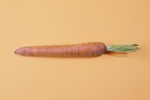 Estudio de tiro de zanahoria sobre fondo amarillo - foto de stock