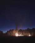 Árvores queimando na floresta contra o céu noturno — Fotografia de Stock