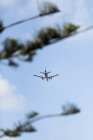 Avião voando no céu azul ensolarado — Fotografia de Stock