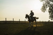 Silhouette of cowboy riding horse on rural ranch — Stock Photo