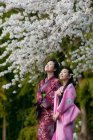 Belles jeunes femmes en kimonos japonais ci-dessous branches de fleurs de cerisier — Photo de stock