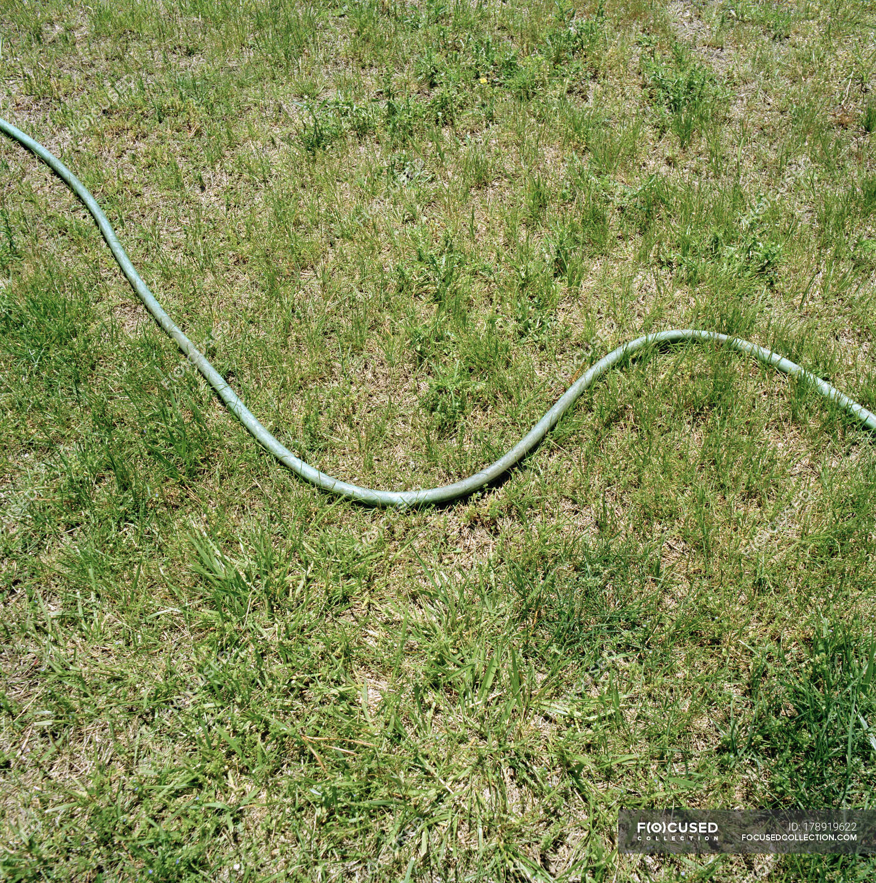 Green Garden Hose Lying In Grass Lawn Bend Stock Photo
