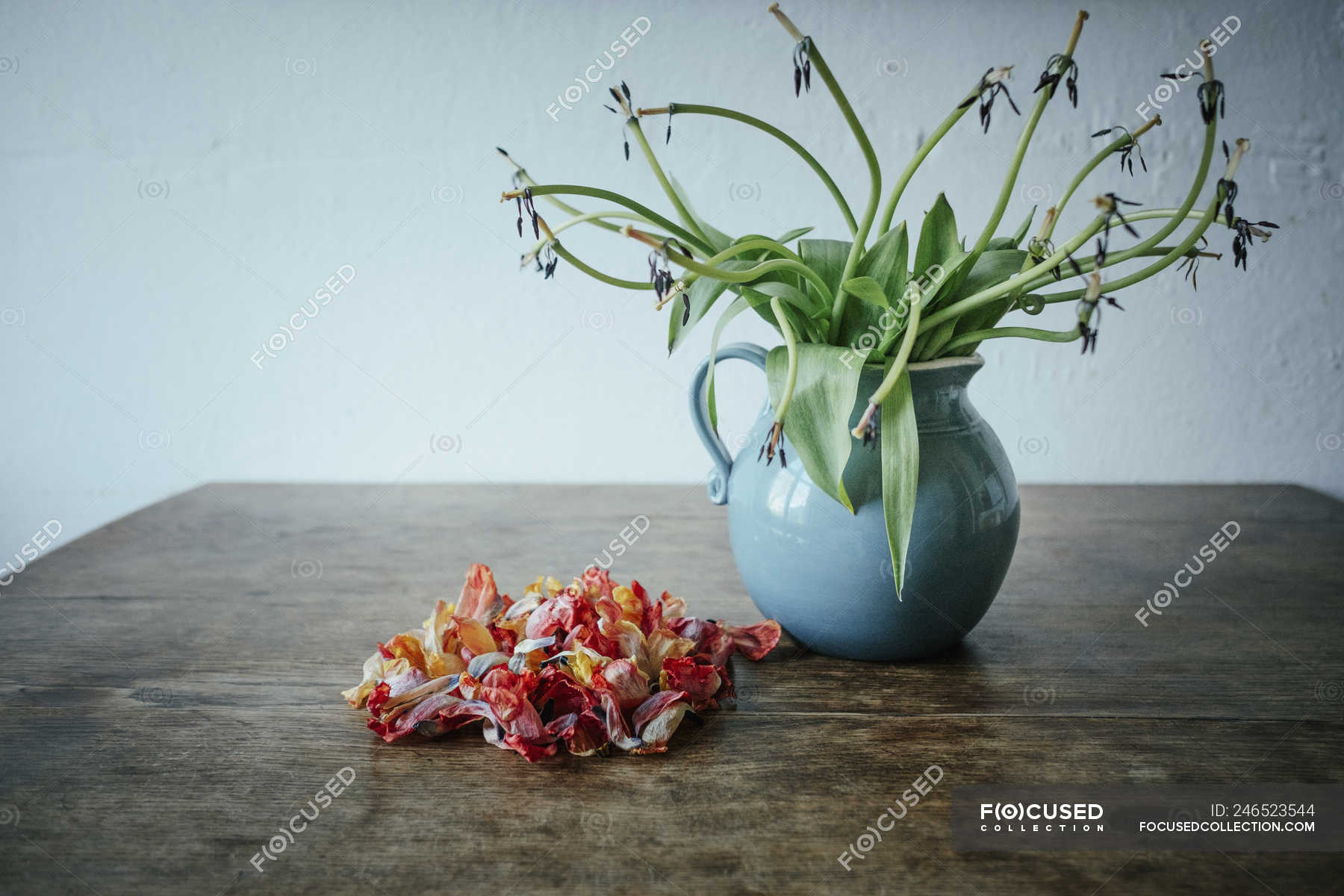 Dead Flower Petals Next To Stems In Vase Color Image Aging