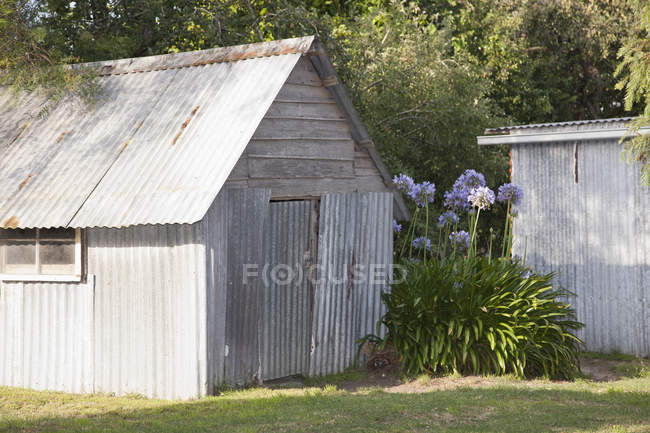 Backyard shed exterior with flowers beside — Stock Photo