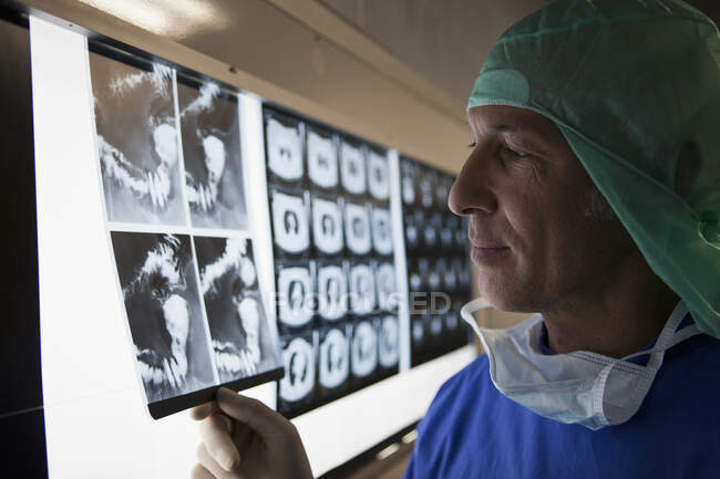 Un médico mirando rayos X en una caja de luz - foto de stock