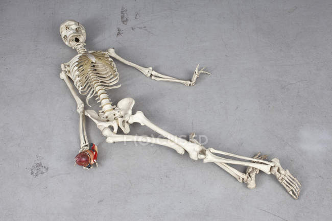 Vista superior del esqueleto humano colocado en el suelo en pose de muerte — Stock Photo