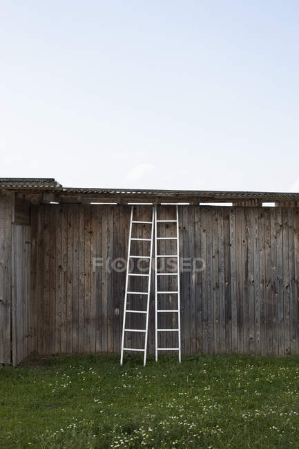 Due scale appoggiate su un rustico recinto in legno — Foto stock