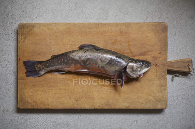 Directly above view of fish on wooden cutting board — Stock Photo