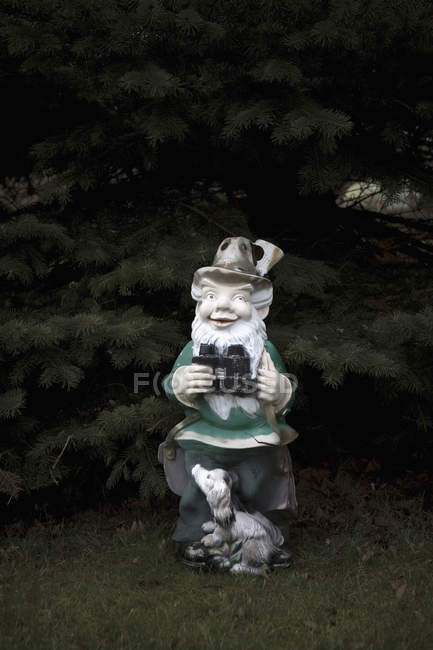 Garden gnome statue on lawn by fir tree — Stock Photo