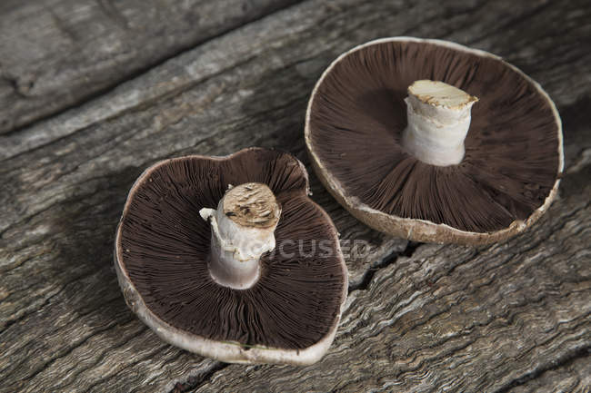 Close up view of fresh organic mushrooms on wood — Stock Photo