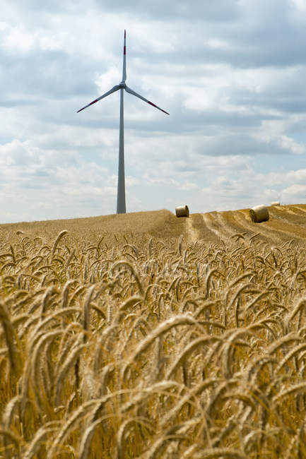 Vista lejana de la turbina en el campo de trigo sobre el cielo nublado - foto de stock