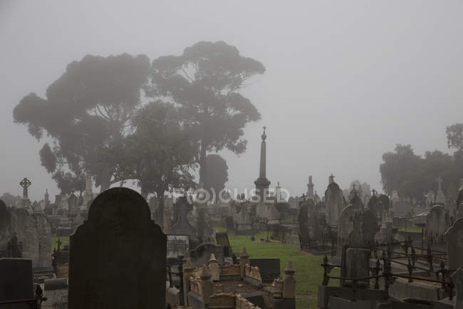Vista de fileiras de lápides no cemitério nebuloso — Fotografia de Stock