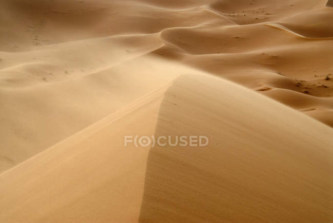 View of sand dunes in Erg Chebbi desert, Morocco — Stock Photo