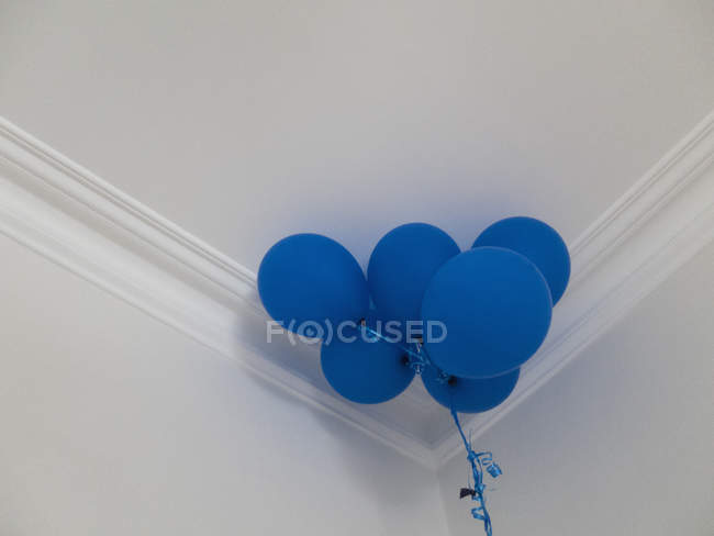 Vista ad angolo basso di palloncini blu al soffitto — Foto stock