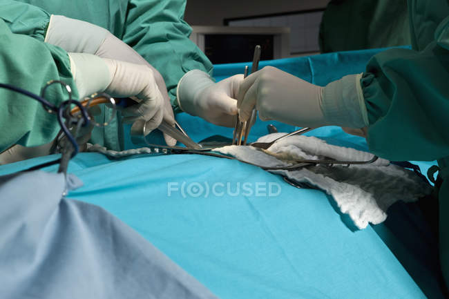 Equipo de cirugía de cultivos operando al paciente en quirófano - foto de stock